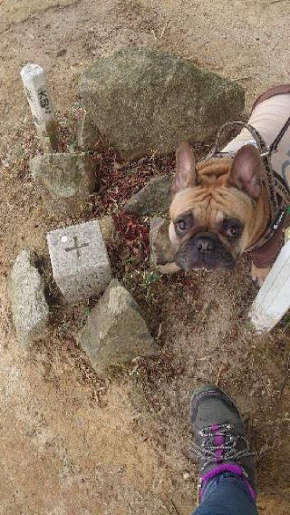 福山城の登城記録(md9fb0さん)