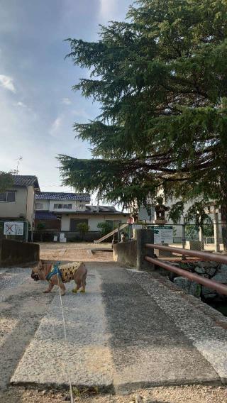 庭瀬城の登城記録(md9fb0さん)