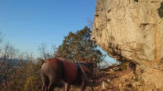 鴨山城の登城記録(md9fb0さん)