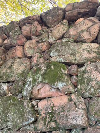 広島城（鯉城）の登城記録(7372さん)