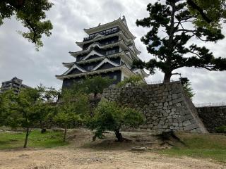 広島城(鯉城)の登城記録(ty ydbさん)