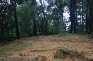 吉田郡山城の登城記録(こにーさん)