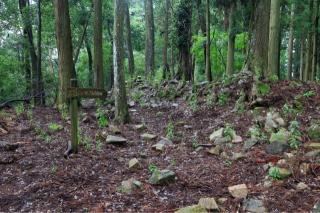 吉田郡山城の登城記録(こにーさん)