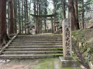 吉田郡山城の登城記録(名古屋 山三郎さん)