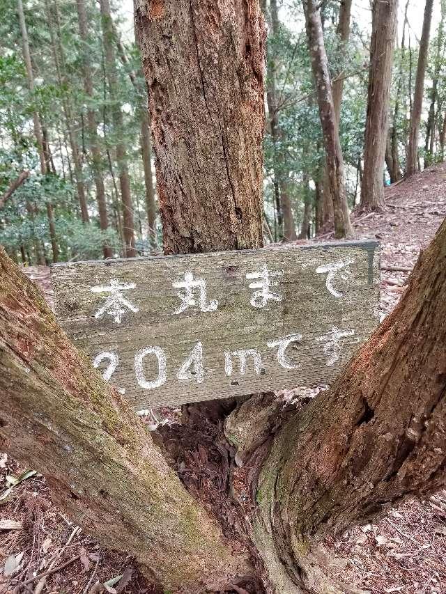 広島県安芸高田市甲田町上甲立 五龍城の写真8