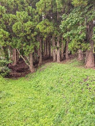 戸切地陣屋の登城記録(泰成さん)