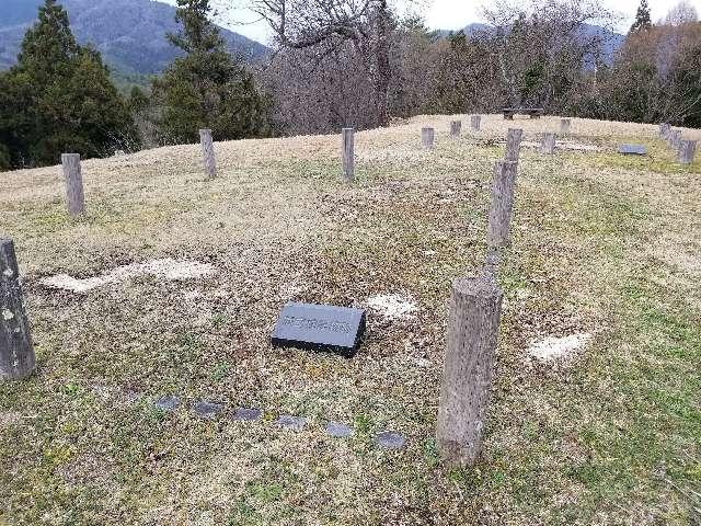 広島県山県郡北広島町新庄 小倉山城の写真9