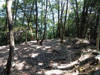 新高山城の登城記録(けいいちさん)