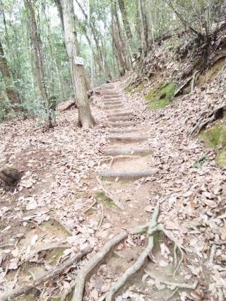 新高山城の登城記録(jinさん)