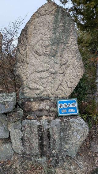 新高山城の登城記録(ニャン川さん)