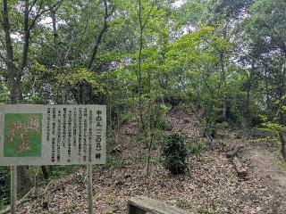 新高山城の登城記録(nekoさん)