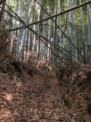 水晶城の登城記録(泰成さん)