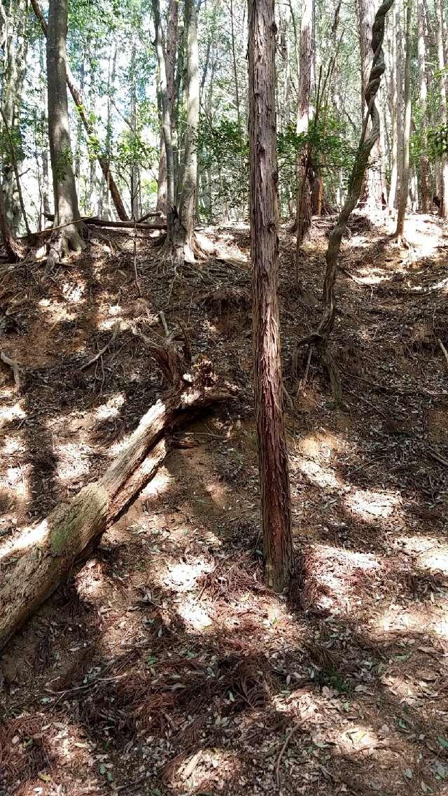 広島県安芸高田市吉田町 多治比猿掛城の写真9