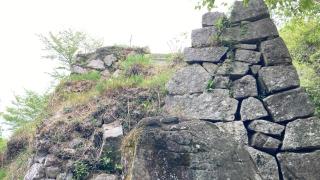 相方城の登城記録(こまさん)