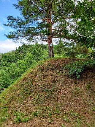 稲庭城の登城記録(haharunさん)