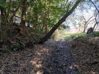 高杉城の登城記録(カズさん)