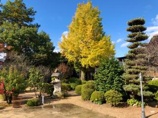 大内氏館の登城記録(名古屋 山三郎さん)