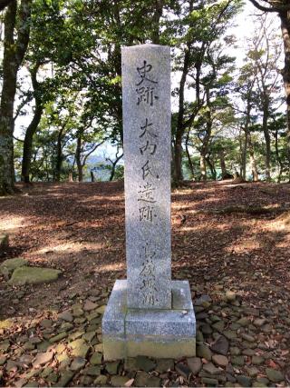 高嶺城の登城記録(名古屋 山三郎さん)