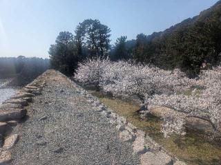 萩城の登城記録(千　百万さん)