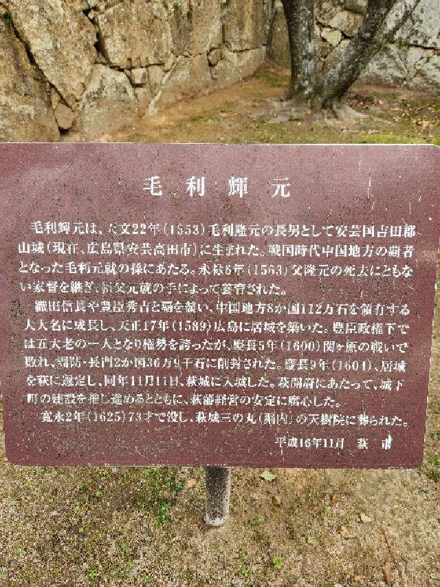 山口県萩市堀内１−１ 萩城の写真3