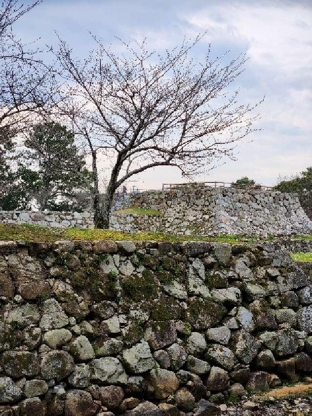 山口県萩市堀内１−１ 萩城の写真10