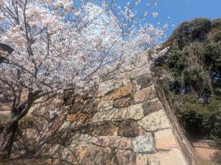 櫛崎城の登城記録(千　百万さん)