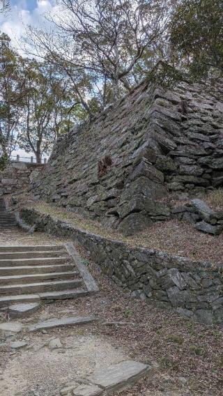 徳島城の登城記録(ニャン川さん)