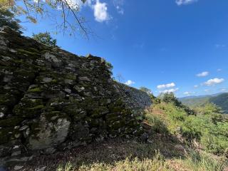 一宮城の登城記録(7372さん)