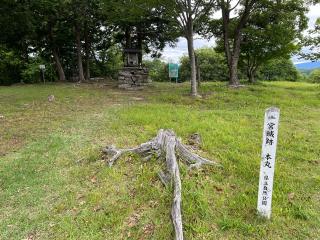 一宮城の登城記録(mkjさん)