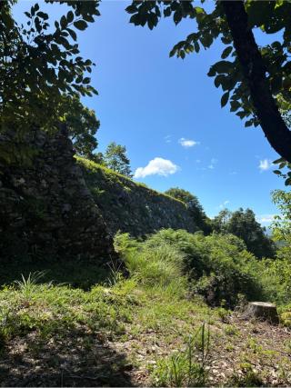 一宮城の登城記録(まるまるさん)