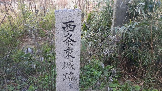 西条城(西条東城)の写真1