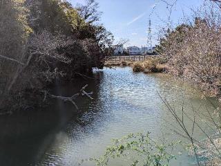 勝瑞城の登城記録(ポッキーさん)