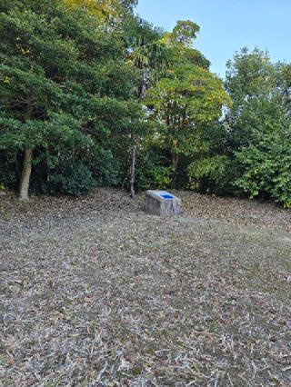 勝瑞城の登城記録(ムークンさん)