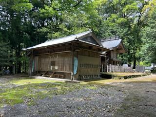 森遠城の登城記録(テッチンさん)