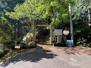 田尾城の登城記録(テッチンさん)