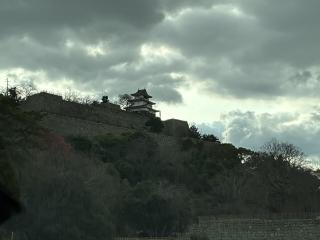 丸亀城の登城記録(たいがさん)