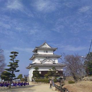 丸亀城の登城記録(くるみかなさん)