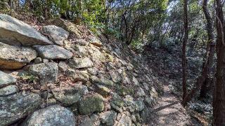 引田城の登城記録(ニャン川さん)