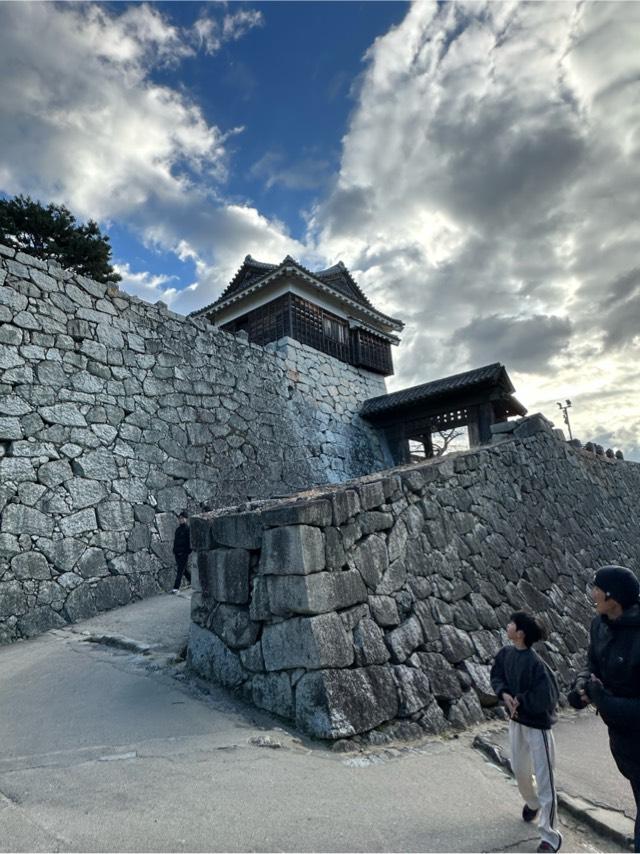 愛媛県松山市丸之内１ 松山城（勝山城）の写真2