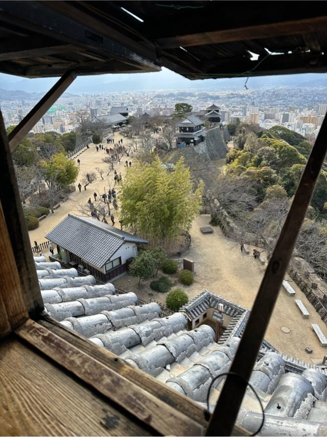 愛媛県松山市丸之内１ 松山城（勝山城）の写真5
