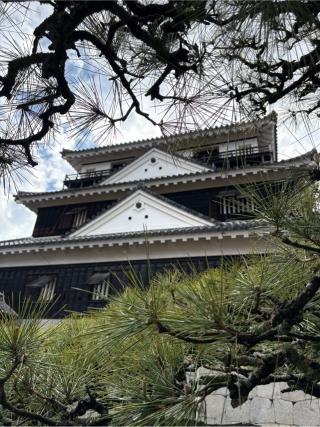 松山城（勝山城）の登城記録(けん様さん)