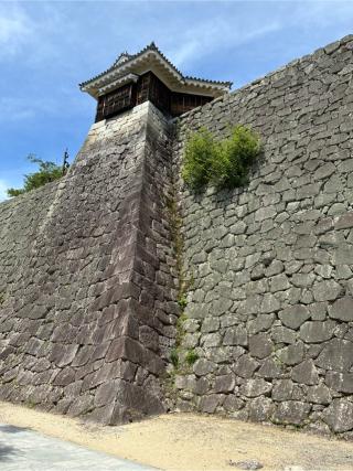 松山城（勝山城）の登城記録(Mr.Poohさん)