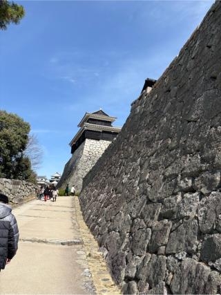 松山城（勝山城）の登城記録(のーりーさん)