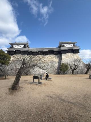 松山城（勝山城）の登城記録(トトロさん)