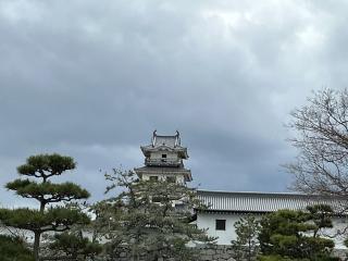 今治城の登城記録(たいがさん)