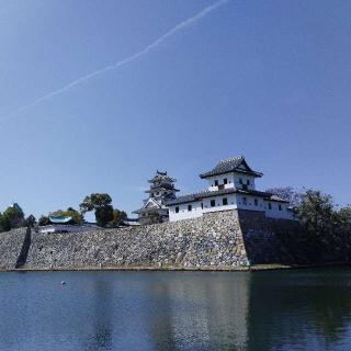 今治城の登城記録(くるみかなさん)