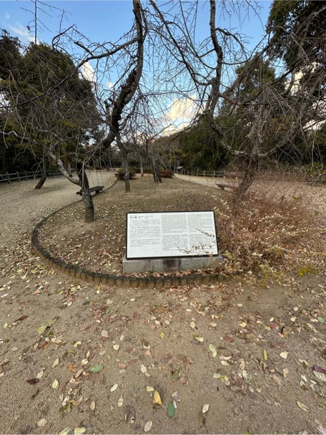 愛媛県松山市道後公園１ 湯築城の写真4