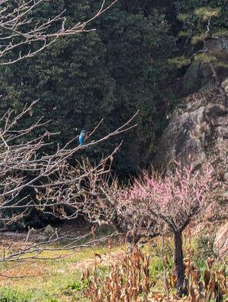 湯築城の登城記録(泰成さん)