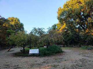 湯築城の登城記録(ミヤリンさん)
