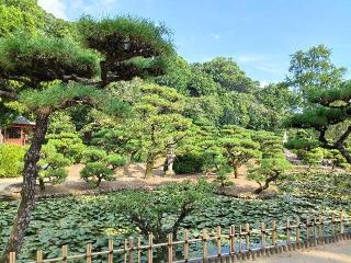 湯築城の登城記録(ぷにぷにきいめいさん)